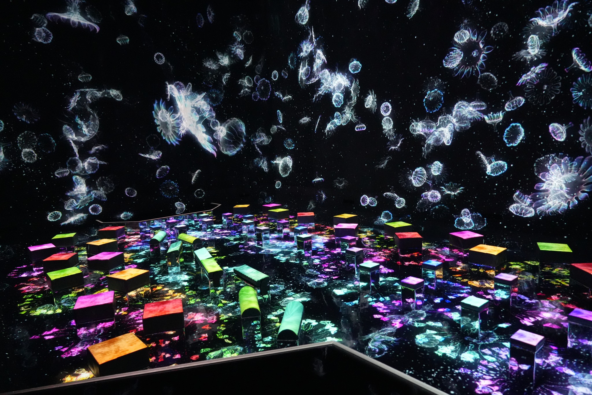 teamLab Planets, Toyosu
